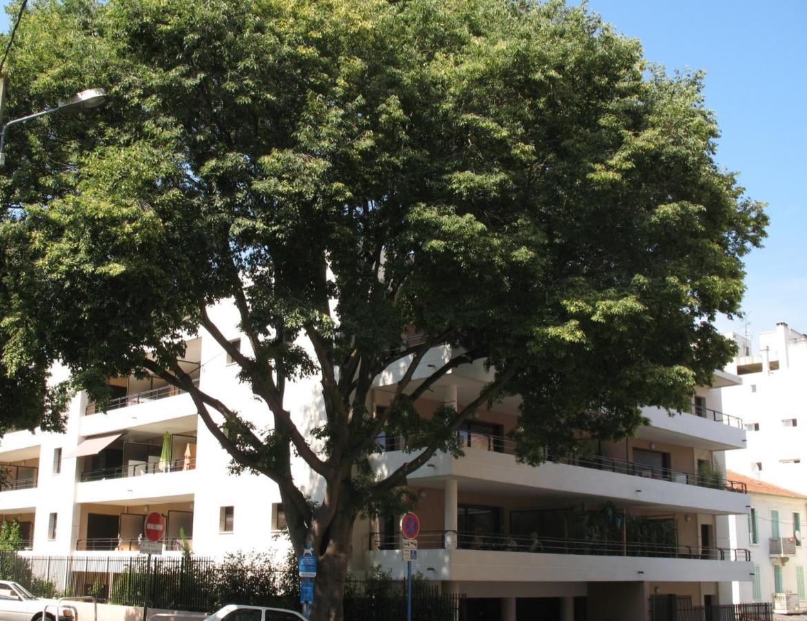 Spacious Luxury Apt, 12 Min Walk To Croisette Beach And Conf Centre Cannes Exterior photo